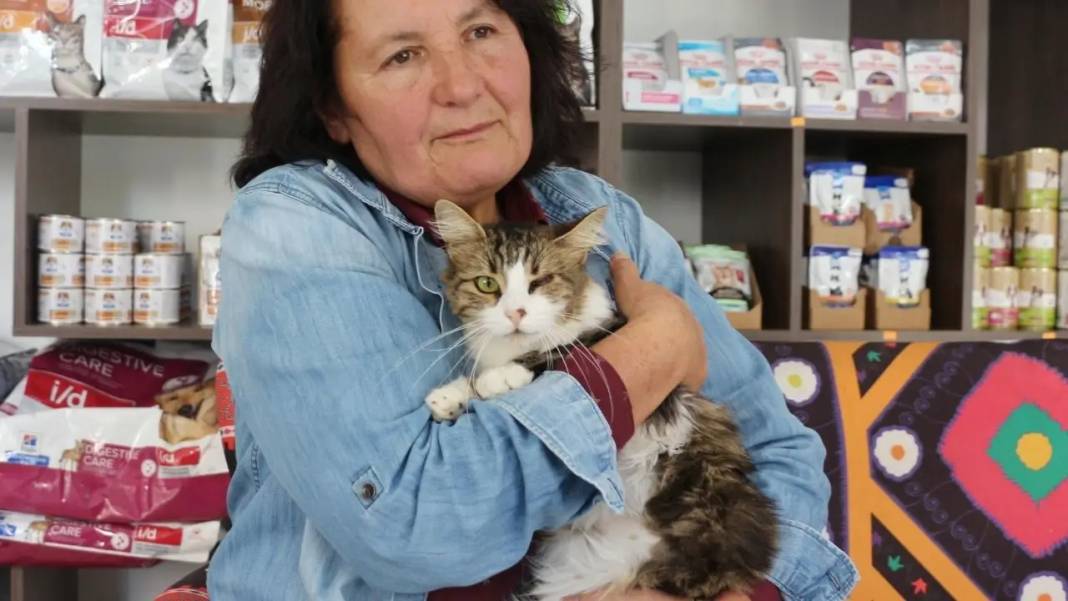 Isparta’da Kedi Nazlı Kan Nakliyle Hayata Döndü! 1